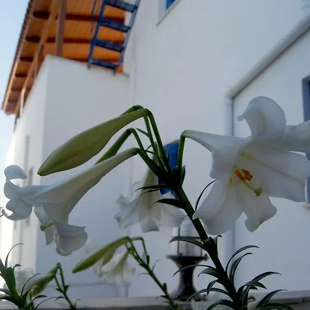 Appartement Idroussa à Batsíon Extérieur photo