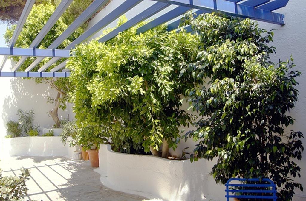 Appartement Idroussa
