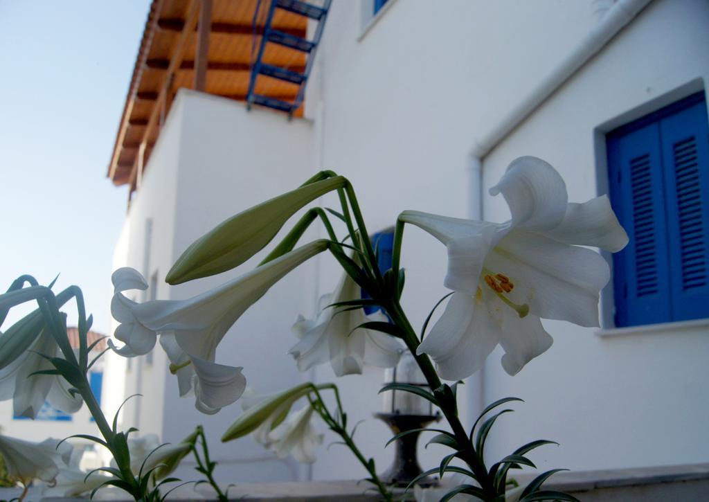 Appartement Idroussa Batsíon